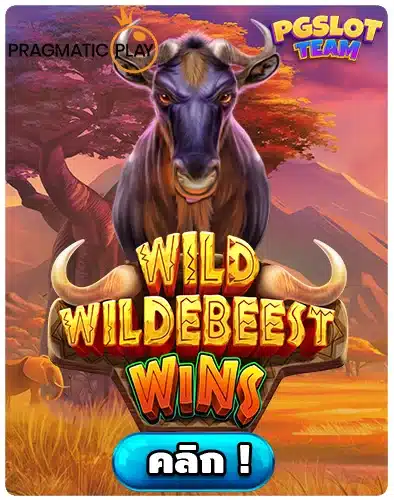Wild Wildebeest Wins